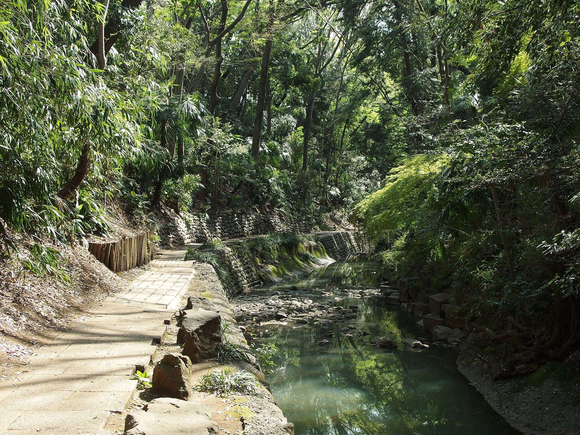 Todoroki Valley