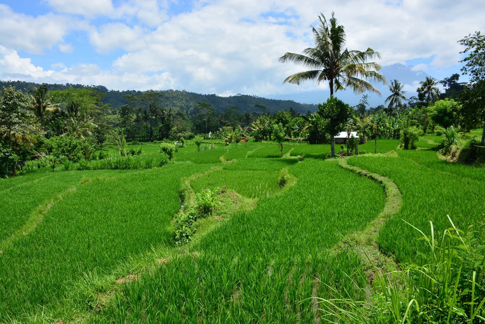 Bali, Indonesia