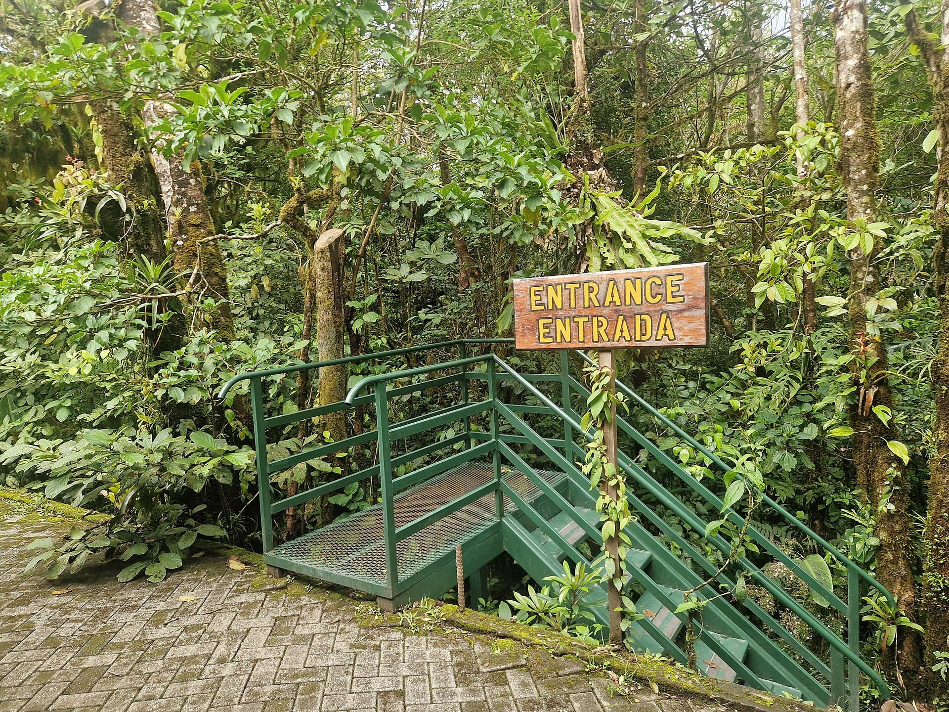 Monteverde Cloud Forest Preserve
