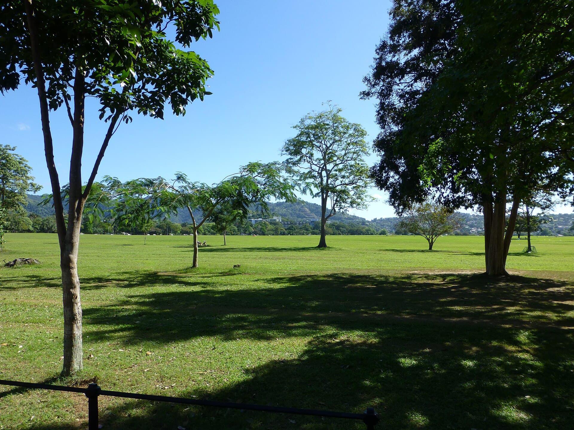 Queen's Park Savannah