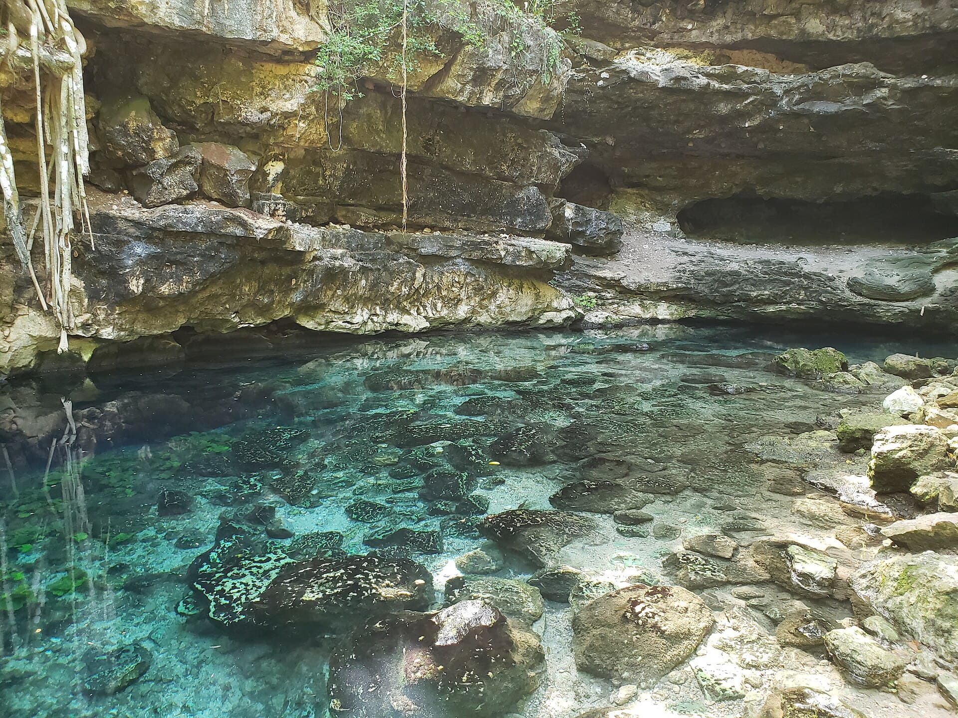 Cenotes X'batún and Dzonbakal
