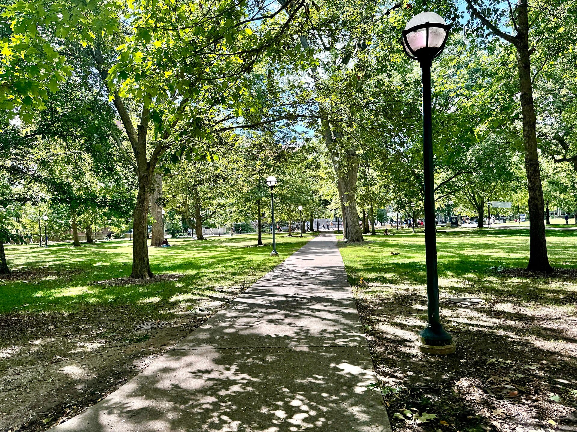 The Diag
