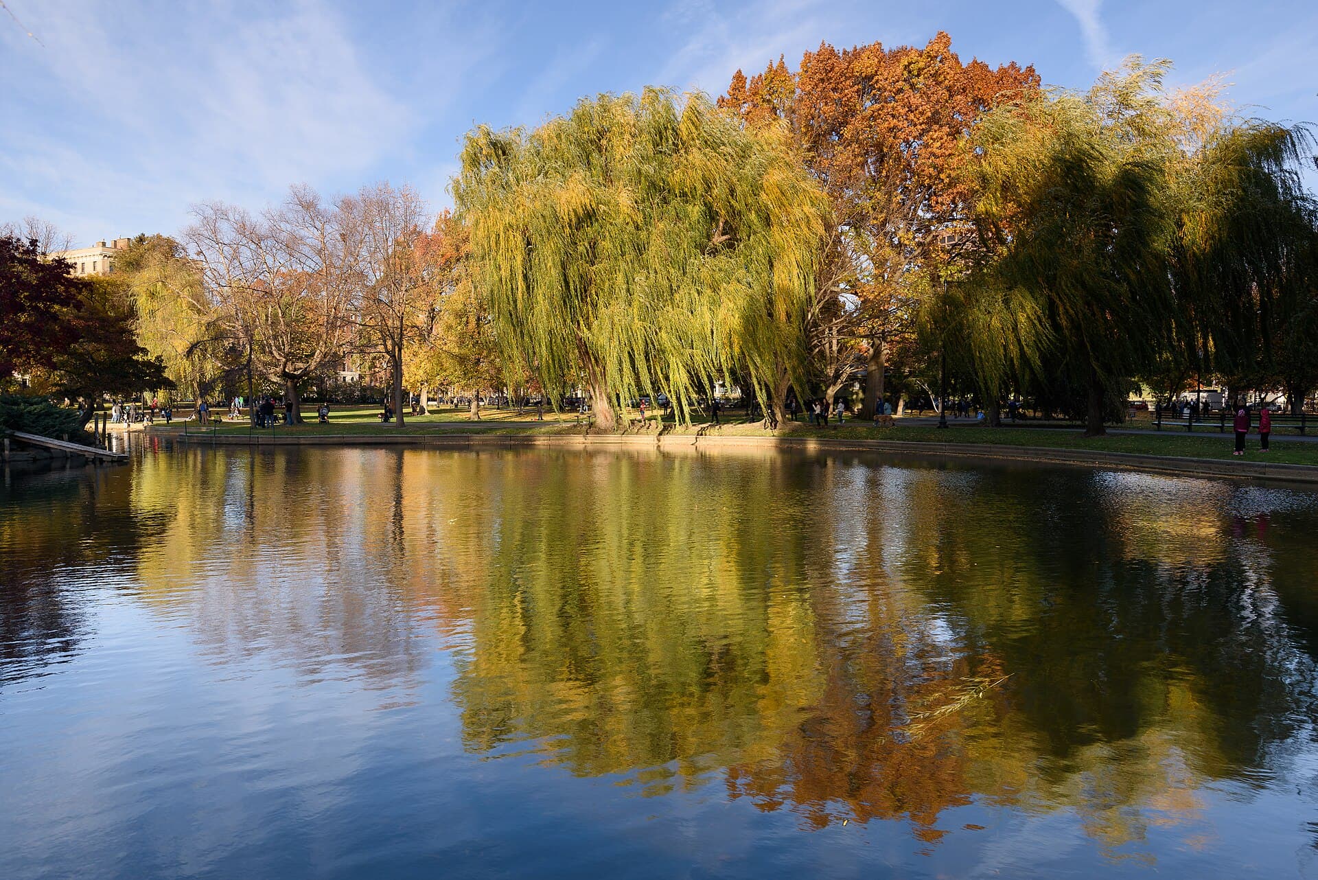 Boston Public Garden