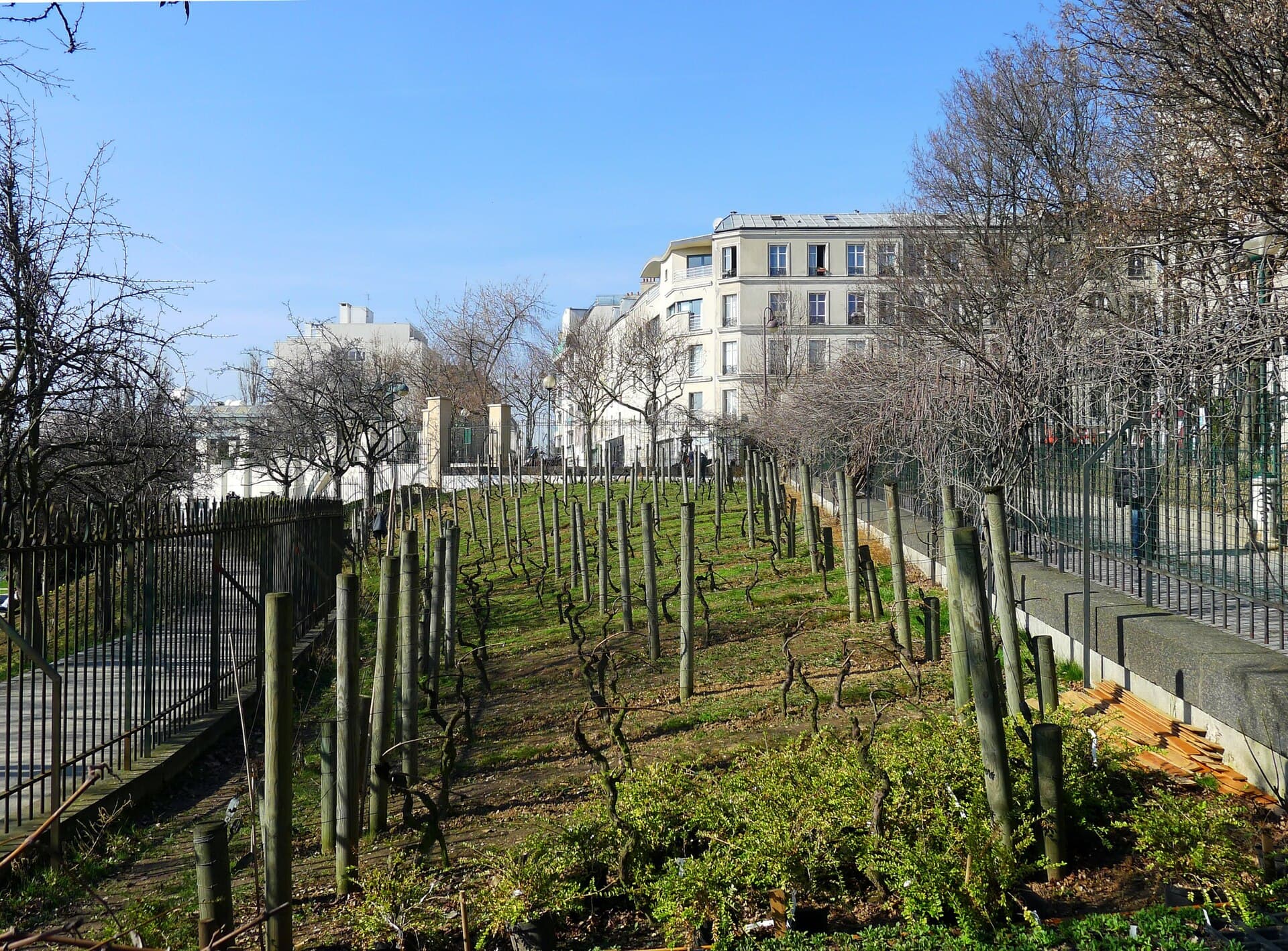 Parc de Belleville