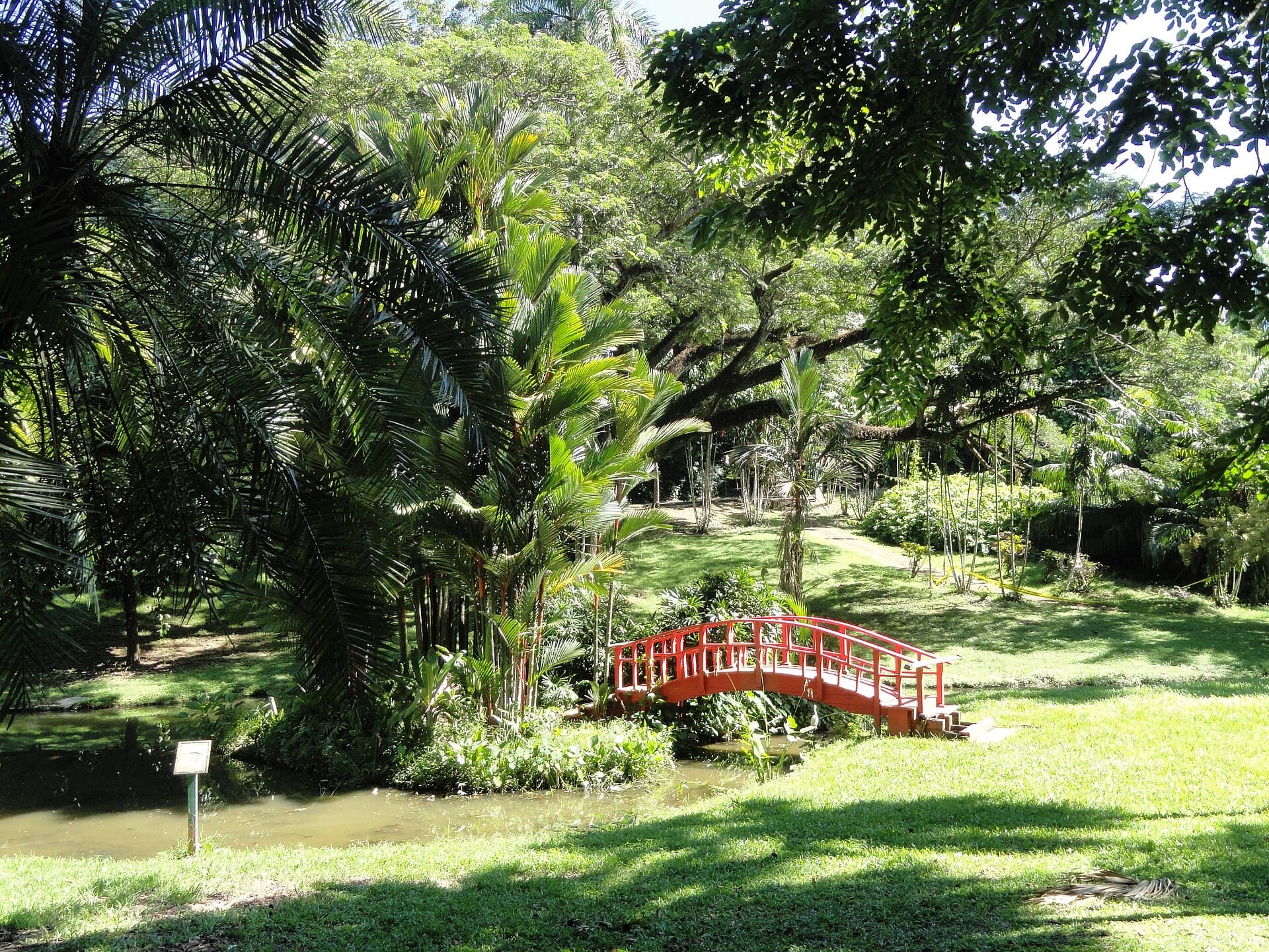 Jardín Botánico de la Universidad de Puerto Rico