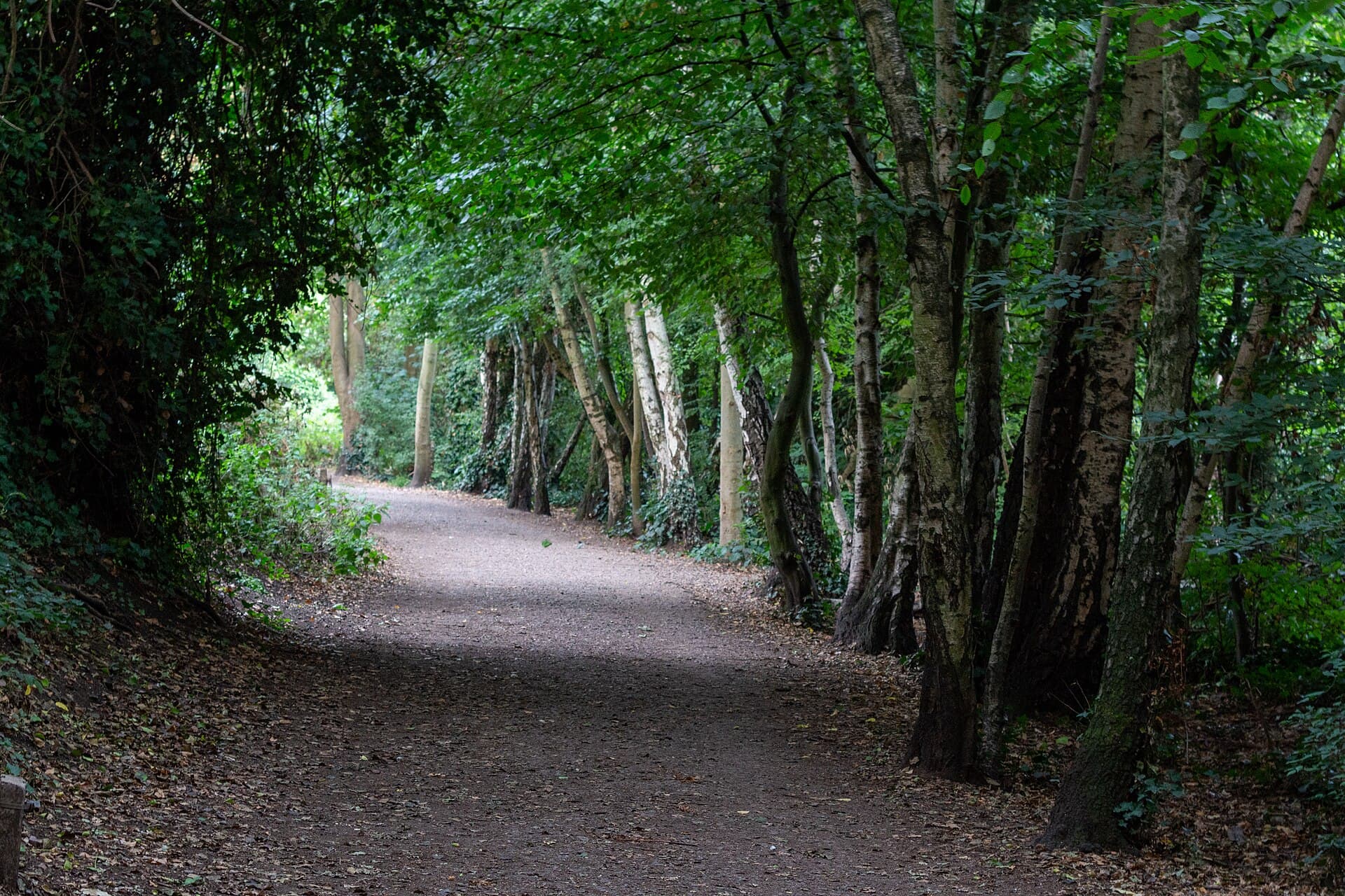 Parkland Walk