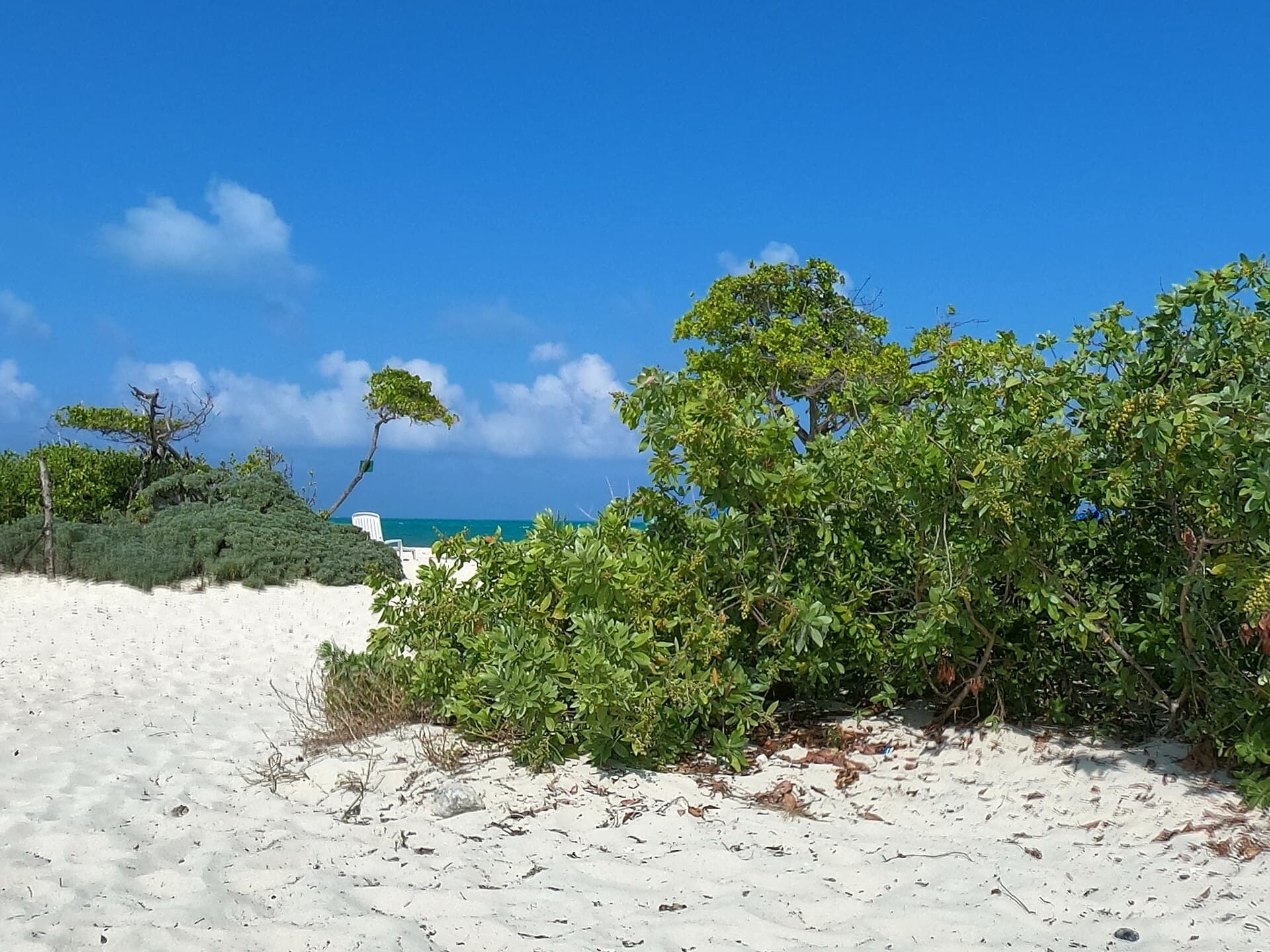 Isla Blanca